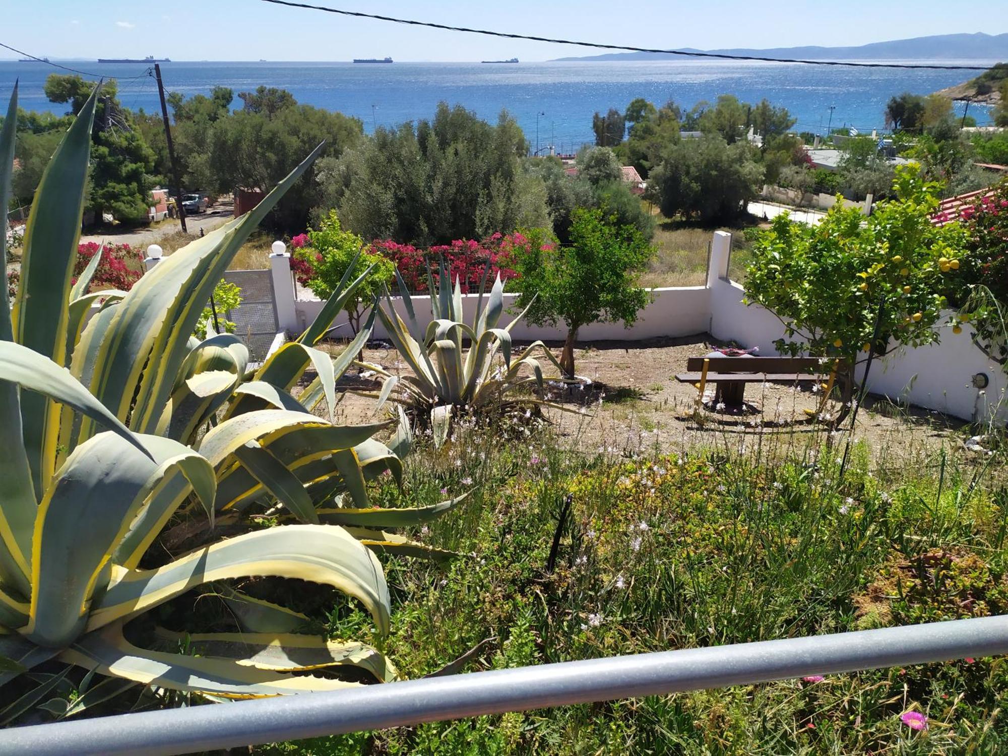 Thalassa Panagia  Екстер'єр фото